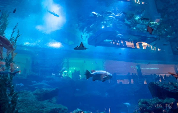 Dubai Aquarium